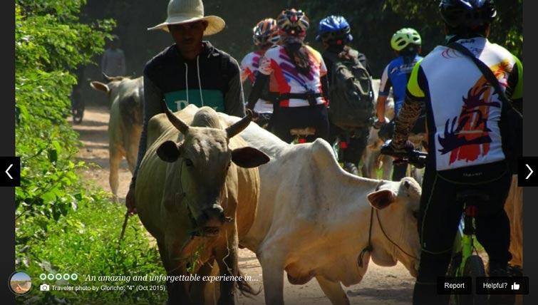 angkor-cycling-tour-by-visitor-4.jpg