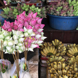 Siem Reap Night Food Tour